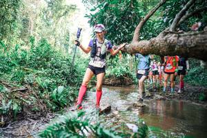 BIB: 
                            <button type="button" onclick="openModal(25516187)" class="btn btn-primary btn-sm float-right btn-popup" data-toggle="modal" data-target=".modal-high-quality">
                        <i class="fas fa-shopping-cart"></i> Add to Cart
                    </button>
                                            <button type="button" onclick="isThisMe(25516187, true)" class="btn btn-success btn-sm float-right btn-popup btn-isme hidden" data-toggle="tooltip" data-placement="bottom" title="นี่คือรูปของคุณใช่ไหม คลิกที่นี่เพื่อเอาเข้าอัลบั้ม">
                        <i class="fas fa-plus"></i> Add to album
                    </button>
                    <button type="button" onclick="isThisMe(25516187, false)" class="btn btn-warning btn-sm float-right btn-popup btn-isnotme hidden">
                        <i class="fas fa-ban"></i> Remove from album
                    </button>